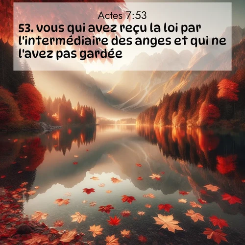 Segond21 Actes  ; image nature: image avec le verset biblique :vous qui avez reçu la loi par l&#039;intermédiaire des anges et qui ne l&#039;avez pas gardée!» ;  ; 7:53