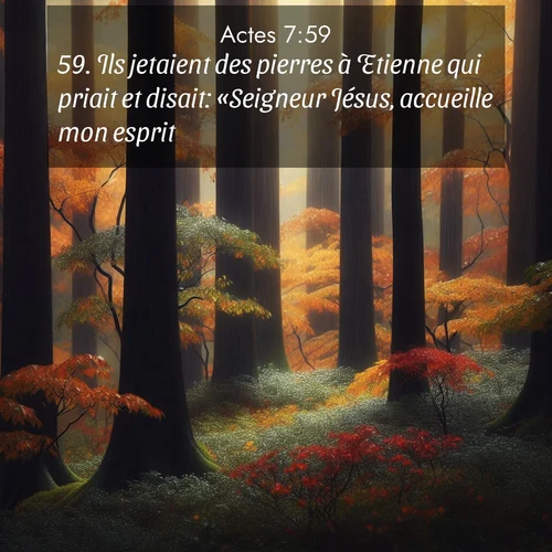 Segond21 Actes  ; image nature: image avec le verset biblique :Ils jetaient des pierres à Etienne qui priait et disait: «Seigneur Jésus, accueille mon esprit!» ;  ; 7:59