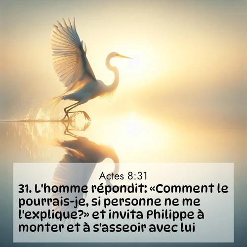 Segond21 Actes  ; image nature: image avec le verset biblique :L&#039;homme répondit: «Comment le pourrais-je, si personne ne me l&#039;explique?» et invita Philippe à monter et à s&#039;asseoir avec lui. ;  ; 8:31
