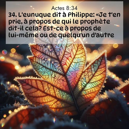 Segond21 Actes  ; image nature: image avec le verset biblique :L&#039;eunuque dit à Philippe: «Je t&#039;en prie, à propos de qui le prophète dit-il cela? Est-ce à propos de lui-même ou de quelqu&#039;un d&#039;autre?» ;  ; 8:34