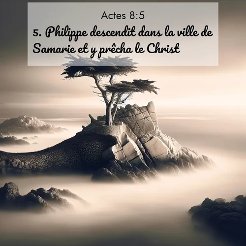 Segond21 Actes  ; image nature: image avec le verset biblique :Philippe descendit dans la ville de Samarie et y prêcha le Christ. ;  ; 8:5