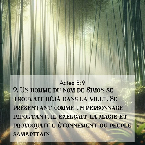 Segond21 Actes  ; image nature: image avec le verset biblique :Un homme du nom de Simon se trouvait déjà dans la ville. Se présentant comme un personnage important, il exerçait la magie et provoquait l&#039;étonnement du peuple samaritain. ;  ; 8:9