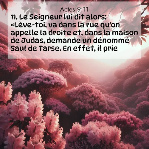 Segond21 Actes  ; image nature: image avec le verset biblique :Le Seigneur lui dit alors: «Lève-toi, va dans la rue qu&#039;on appelle la droite et, dans la maison de Judas, demande un dénommé Saul de Tarse. En effet, il prie ;  ; 9:11
