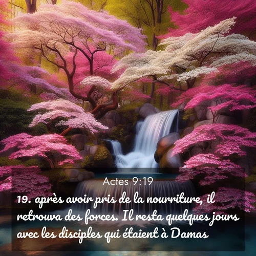 Segond21 Actes  ; image nature: image avec le verset biblique :après avoir pris de la nourriture, il retrouva des forces. Il resta quelques jours avec les disciples qui étaient à Damas ;  ; 9:19