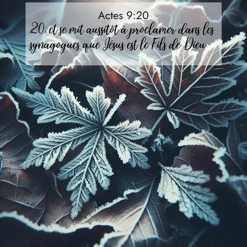 Segond21 Actes  ; image nature: image avec le verset biblique :et se mit aussitôt à proclamer dans les synagogues que Jésus est le Fils de Dieu. ;  ; 9:20