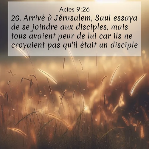Segond21 Actes  ; image nature: image avec le verset biblique :Arrivé à Jérusalem, Saul essaya de se joindre aux disciples, mais tous avaient peur de lui car ils ne croyaient pas qu&#039;il était un disciple. ;  ; 9:26