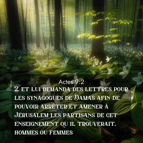 Segond21 Actes  ; image nature: image avec le verset biblique :et lui demanda des lettres pour les synagogues de Damas afin de pouvoir arrêter et amener à Jérusalem les partisans de cet enseignement qu&#039;il trouverait, hommes ou femmes. ;  ; 9:2