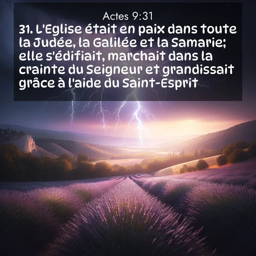 Segond21 Actes  ; image nature: image avec le verset biblique :L&#039;Eglise était en paix dans toute la Judée, la Galilée et la Samarie; elle s&#039;édifiait, marchait dans la crainte du Seigneur et grandissait grâce à l&#039;aide du Saint-Esprit. ;  ; 9:31