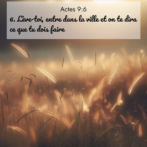 Segond21 Actes  ; image nature: image avec le verset biblique :Lève-toi, entre dans la ville et on te dira ce que tu dois faire.» ;  ; 9:6