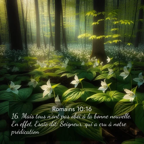 Segond21 Romains  ; image nature: image avec le verset biblique :Mais tous n&#039;ont pas obéi à la bonne nouvelle. En effet, Esaïe dit: Seigneur, qui a cru à notre prédication? ;  ; 10:16