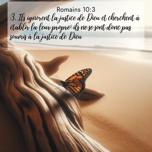 Segond21 Romains  ; image nature: image avec le verset biblique :Ils ignorent la justice de Dieu et cherchent à établir la leur propre; ils ne se sont donc pas soumis à la justice de Dieu, ;  ; 10:3