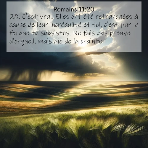 Segond21 Romains  ; image nature: image avec le verset biblique :C&#039;est vrai. Elles ont été retranchées à cause de leur incrédulité et toi, c&#039;est par la foi que tu subsistes. Ne fais pas preuve d&#039;orgueil, mais aie de la crainte, ;  ; 11:20