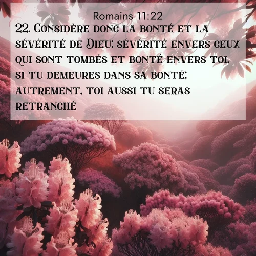 Segond21 Romains  ; image nature: image avec le verset biblique :Considère donc la bonté et la sévérité de Dieu: sévérité envers ceux qui sont tombés et bonté envers toi, si tu demeures dans sa bonté; autrement, toi aussi tu seras retranché. ;  ; 11:22
