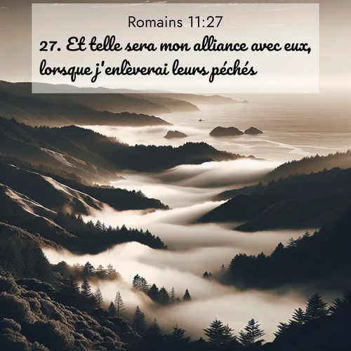 Segond21 Romains  ; image nature: image avec le verset biblique :Et telle sera mon alliance avec eux, lorsque j&#039;enlèverai leurs péchés. ;  ; 11:27