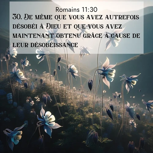 Segond21 Romains  ; image nature: image avec le verset biblique :De même que vous avez autrefois désobéi à Dieu et que vous avez maintenant obtenu grâce à cause de leur désobéissance, ;  ; 11:30