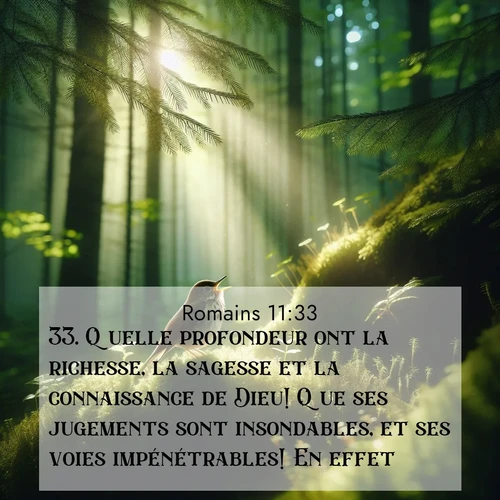Segond21 Romains  ; image nature: image avec le verset biblique :Quelle profondeur ont la richesse, la sagesse et la connaissance de Dieu! Que ses jugements sont insondables, et ses voies impénétrables! En effet, ;  ; 11:33
