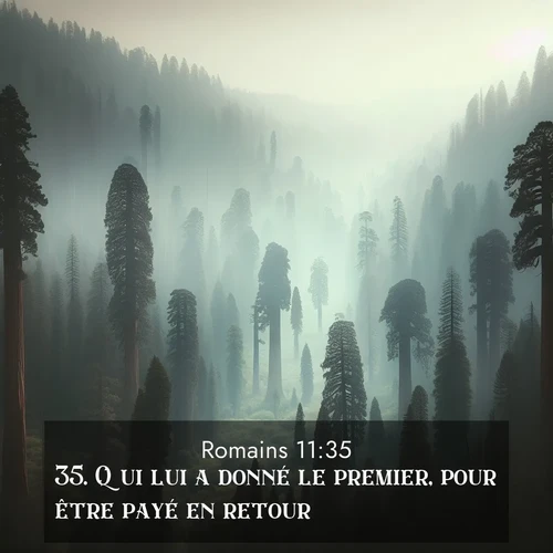 Segond21 Romains  ; image nature: image avec le verset biblique :Qui lui a donné le premier, pour être payé en retour? ;  ; 11:35