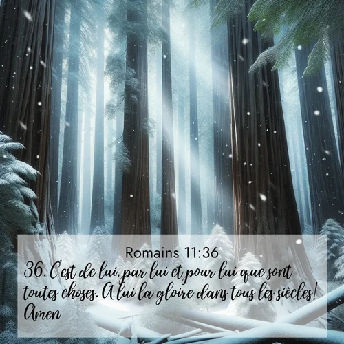 Segond21 Romains  ; image nature: image avec le verset biblique :C&#039;est de lui, par lui et pour lui que sont toutes choses. A lui la gloire dans tous les siècles! Amen! ;  ; 11:36