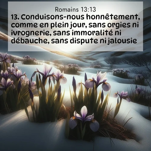 Segond21 Romains  ; image nature: image avec le verset biblique :Conduisons-nous honnêtement, comme en plein jour, sans orgies ni ivrognerie, sans immoralité ni débauche, sans dispute ni jalousie. ;  ; 13:13