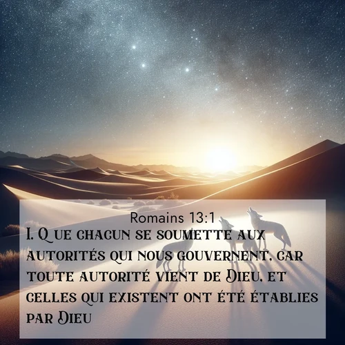 Segond21 Romains  ; image nature: image avec le verset biblique :Que chacun se soumette aux autorités qui nous gouvernent, car toute autorité vient de Dieu, et celles qui existent ont été établies par Dieu. ;  ; 13:1