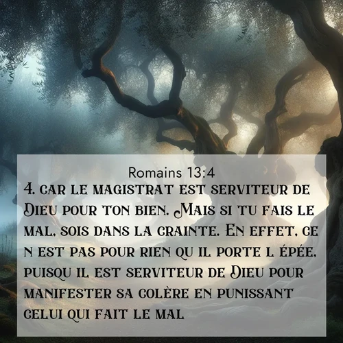 Segond21 Romains  ; image nature: image avec le verset biblique :car le magistrat est serviteur de Dieu pour ton bien. Mais si tu fais le mal, sois dans la crainte. En effet, ce n&#039;est pas pour rien qu&#039;il porte l&#039;épée, puisqu&#039;il est serviteur de Dieu pour manifester sa colère en punissant celui qui fait le mal. ;  ; 13:4