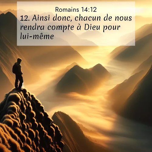 Segond21 Romains  ; image nature: image avec le verset biblique :Ainsi donc, chacun de nous rendra compte à Dieu pour lui-même. ;  ; 14:12