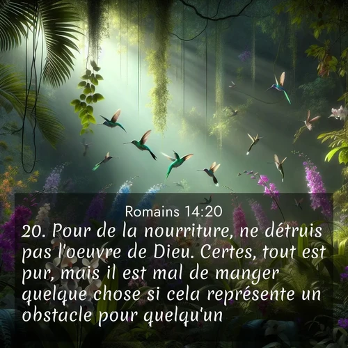 Segond21 Romains  ; image nature: image avec le verset biblique :Pour de la nourriture, ne détruis pas l&#039;oeuvre de Dieu. Certes, tout est pur, mais il est mal de manger quelque chose si cela représente un obstacle pour quelqu&#039;un. ;  ; 14:20