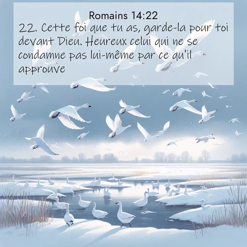 Segond21 Romains  ; image nature: image avec le verset biblique :Cette foi que tu as, garde-la pour toi devant Dieu. Heureux celui qui ne se condamne pas lui-même par ce qu&#039;il approuve! ;  ; 14:22