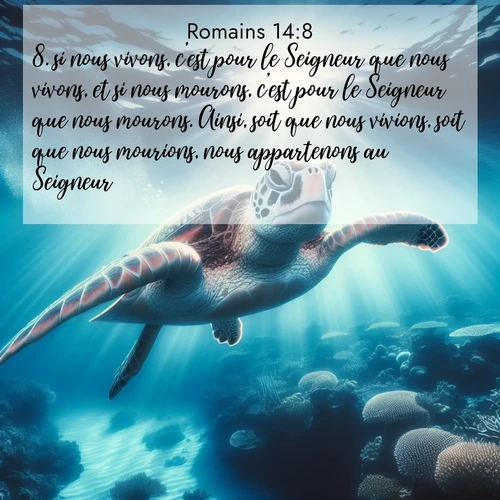 Segond21 Romains  ; image nature: image avec le verset biblique :si nous vivons, c&#039;est pour le Seigneur que nous vivons, et si nous mourons, c&#039;est pour le Seigneur que nous mourons. Ainsi, soit que nous vivions, soit que nous mourions, nous appartenons au Seigneur. ;  ; 14:8