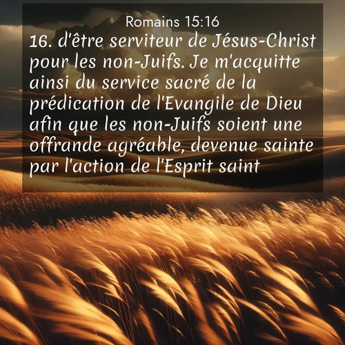 Segond21 Romains  ; image nature: image avec le verset biblique :d&#039;être serviteur de Jésus-Christ pour les non-Juifs. Je m&#039;acquitte ainsi du service sacré de la prédication de l&#039;Evangile de Dieu afin que les non-Juifs soient une offrande agréable, devenue sainte par l&#039;action de l&#039;Esprit saint. ;  ; 15:16