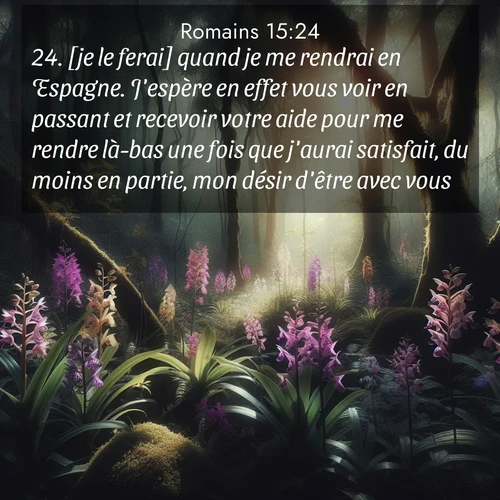 Segond21 Romains  ; image nature: image avec le verset biblique :[je le ferai] quand je me rendrai en Espagne. J&#039;espère en effet vous voir en passant et recevoir votre aide pour me rendre là-bas une fois que j&#039;aurai satisfait, du moins en partie, mon désir d&#039;être avec vous. ;  ; 15:24