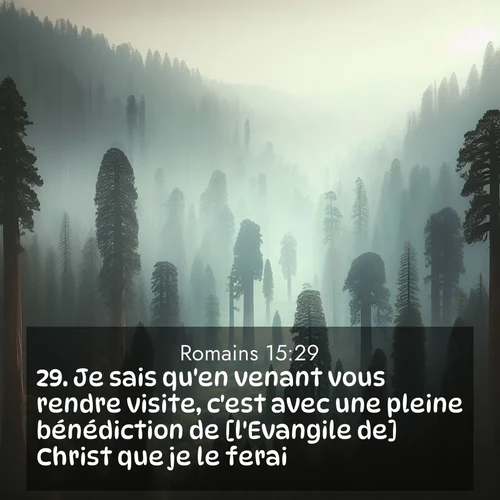 Segond21 Romains  ; image nature: image avec le verset biblique :Je sais qu&#039;en venant vous rendre visite, c&#039;est avec une pleine bénédiction de [l&#039;Evangile de] Christ que je le ferai. ;  ; 15:29