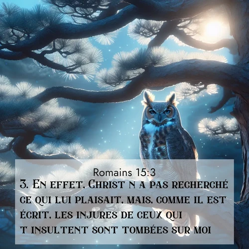 Segond21 Romains  ; image nature: image avec le verset biblique :En effet, Christ n&#039;a pas recherché ce qui lui plaisait, mais, comme il est écrit, les injures de ceux qui t&#039;insultent sont tombées sur moi. ;  ; 15:3