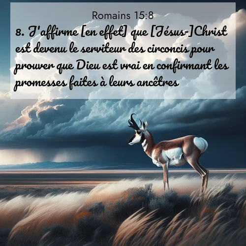 Segond21 Romains  ; image nature: image avec le verset biblique :J&#039;affirme [en effet] que [Jésus-]Christ est devenu le serviteur des circoncis pour prouver que Dieu est vrai en confirmant les promesses faites à leurs ancêtres. ;  ; 15:8