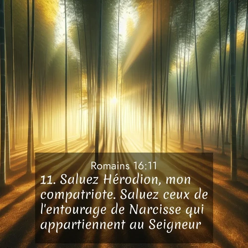 Segond21 Romains  ; image nature: image avec le verset biblique :Saluez Hérodion, mon compatriote. Saluez ceux de l&#039;entourage de Narcisse qui appartiennent au Seigneur. ;  ; 16:11
