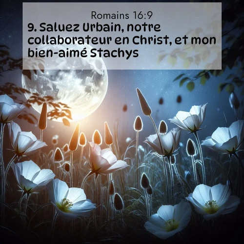 Segond21 Romains  ; image nature: image avec le verset biblique :Saluez Urbain, notre collaborateur en Christ, et mon bien-aimé Stachys. ;  ; 16:9