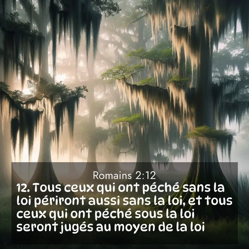 Segond21 Romains  ; image nature: image avec le verset biblique :Tous ceux qui ont péché sans la loi périront aussi sans la loi, et tous ceux qui ont péché sous la loi seront jugés au moyen de la loi. ;  ; 2:12