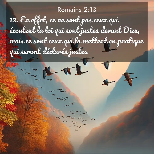 Segond21 Romains  ; image nature: image avec le verset biblique :En effet, ce ne sont pas ceux qui écoutent la loi qui sont justes devant Dieu, mais ce sont ceux qui la mettent en pratique qui seront déclarés justes. ;  ; 2:13