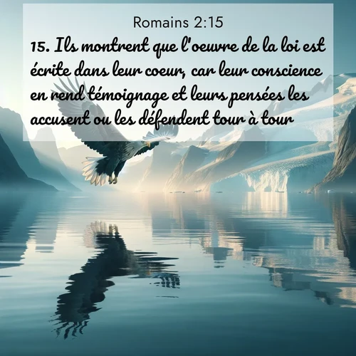 Segond21 Romains  ; image nature: image avec le verset biblique :Ils montrent que l&#039;oeuvre de la loi est écrite dans leur coeur, car leur conscience en rend témoignage et leurs pensées les accusent ou les défendent tour à tour. ;  ; 2:15