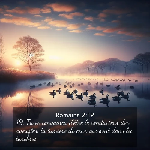 Segond21 Romains  ; image nature: image avec le verset biblique :Tu es convaincu d&#039;être le conducteur des aveugles, la lumière de ceux qui sont dans les ténèbres, ;  ; 2:19