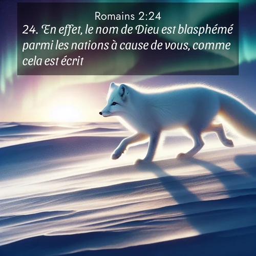 Segond21 Romains  ; image nature: image avec le verset biblique :En effet, le nom de Dieu est blasphémé parmi les nations à cause de vous, comme cela est écrit. ;  ; 2:24