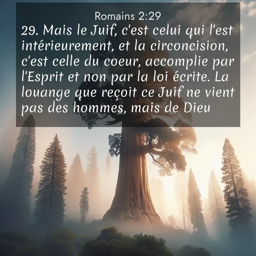 Segond21 Romains  ; image nature: image avec le verset biblique :Mais le Juif, c&#039;est celui qui l&#039;est intérieurement, et la circoncision, c&#039;est celle du coeur, accomplie par l&#039;Esprit et non par la loi écrite. La louange que reçoit ce Juif ne vient pas des hommes, mais de Dieu. ;  ; 2:29