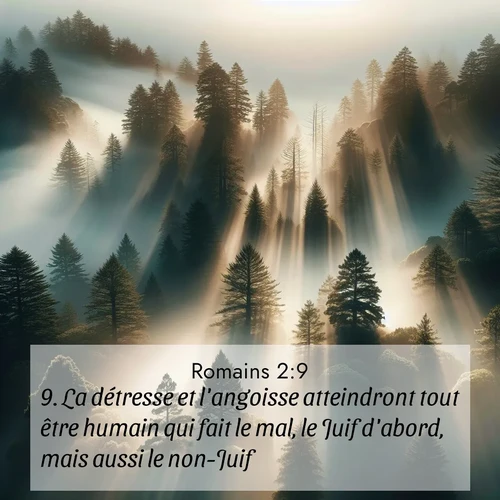 Segond21 Romains  ; image nature: image avec le verset biblique :La détresse et l&#039;angoisse atteindront tout être humain qui fait le mal, le Juif d&#039;abord, mais aussi le non-Juif. ;  ; 2:9