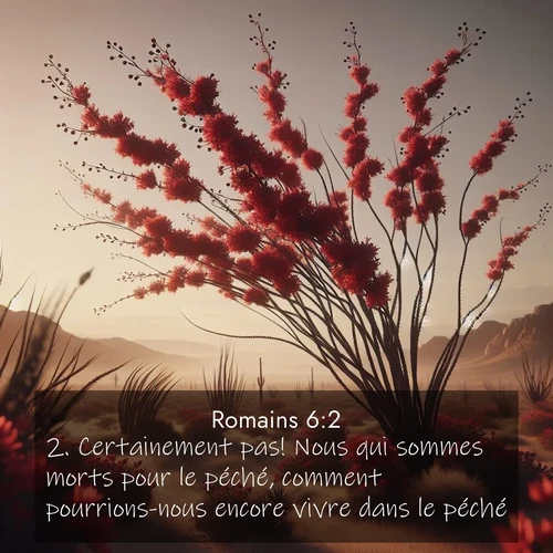 Segond21 Romains  ; image nature: image avec le verset biblique :Certainement pas! Nous qui sommes morts pour le péché, comment pourrions-nous encore vivre dans le péché? ;  ; 6:2