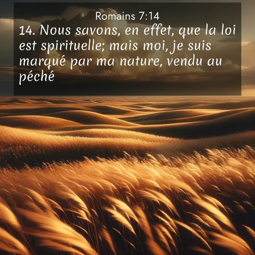 Segond21 Romains  ; image nature: image avec le verset biblique :Nous savons, en effet, que la loi est spirituelle; mais moi, je suis marqué par ma nature, vendu au péché. ;  ; 7:14