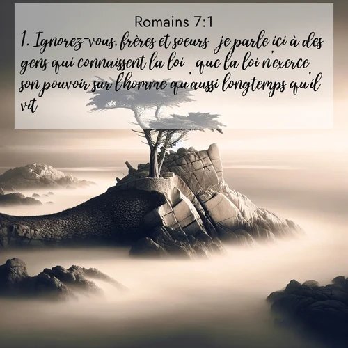 Segond21 Romains  ; image nature: image avec le verset biblique :Ignorez-vous, frères et soeurs  je parle ici à des gens qui connaissent la loi  que la loi n&#039;exerce son pouvoir sur l&#039;homme qu&#039;aussi longtemps qu&#039;il vit? ;  ; 7:1