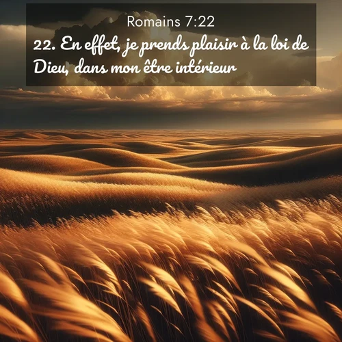 Segond21 Romains  ; image nature: image avec le verset biblique :En effet, je prends plaisir à la loi de Dieu, dans mon être intérieur, ;  ; 7:22