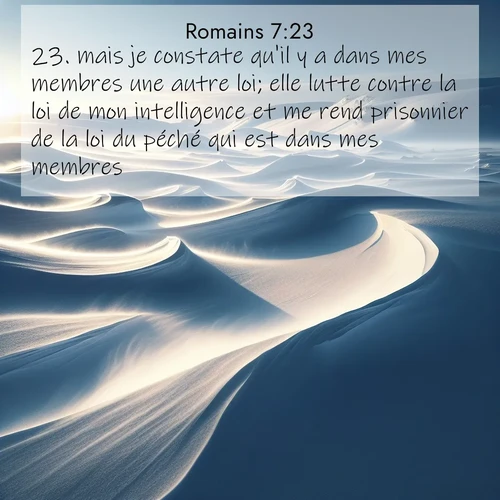Segond21 Romains  ; image nature: image avec le verset biblique :mais je constate qu&#039;il y a dans mes membres une autre loi; elle lutte contre la loi de mon intelligence et me rend prisonnier de la loi du péché qui est dans mes membres. ;  ; 7:23
