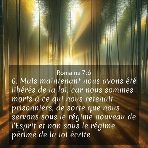 Segond21 Romains  ; image nature: image avec le verset biblique :Mais maintenant nous avons été libérés de la loi, car nous sommes morts à ce qui nous retenait prisonniers, de sorte que nous servons sous le régime nouveau de l&#039;Esprit et non sous le régime périmé de la loi écrite. ;  ; 7:6
