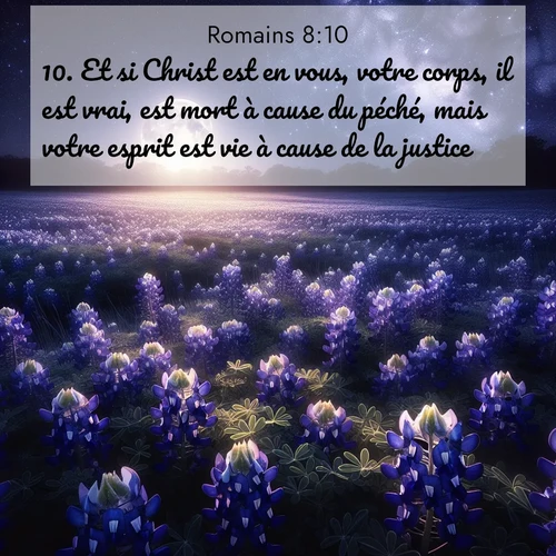 Segond21 Romains  ; image nature: image avec le verset biblique :Et si Christ est en vous, votre corps, il est vrai, est mort à cause du péché, mais votre esprit est vie à cause de la justice. ;  ; 8:10